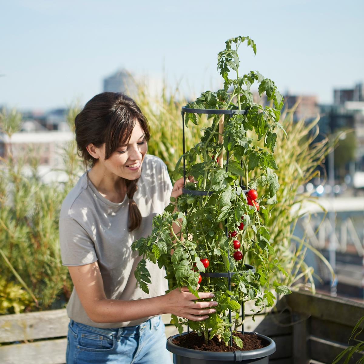 Ziektecijfers Enten Maryanne Jones Elho Green Basics Tomatenpot 33 cm kopen? Shop bij fonQ!