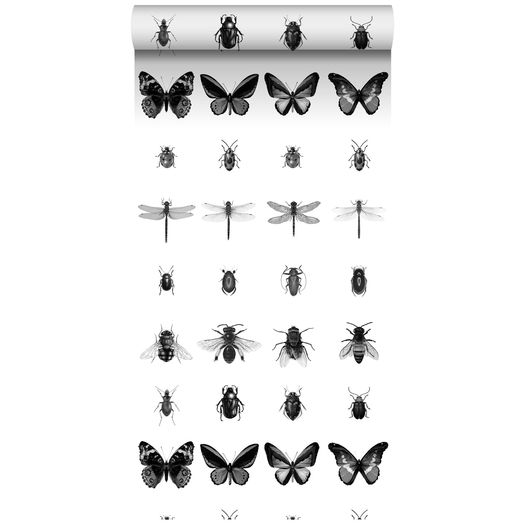 af hebben verhouding Geurig ESTAhome XXL behang pentekening insecten zwart wit - 158827 - 0,465 x  kopen? Shop bij fonQ.be!
