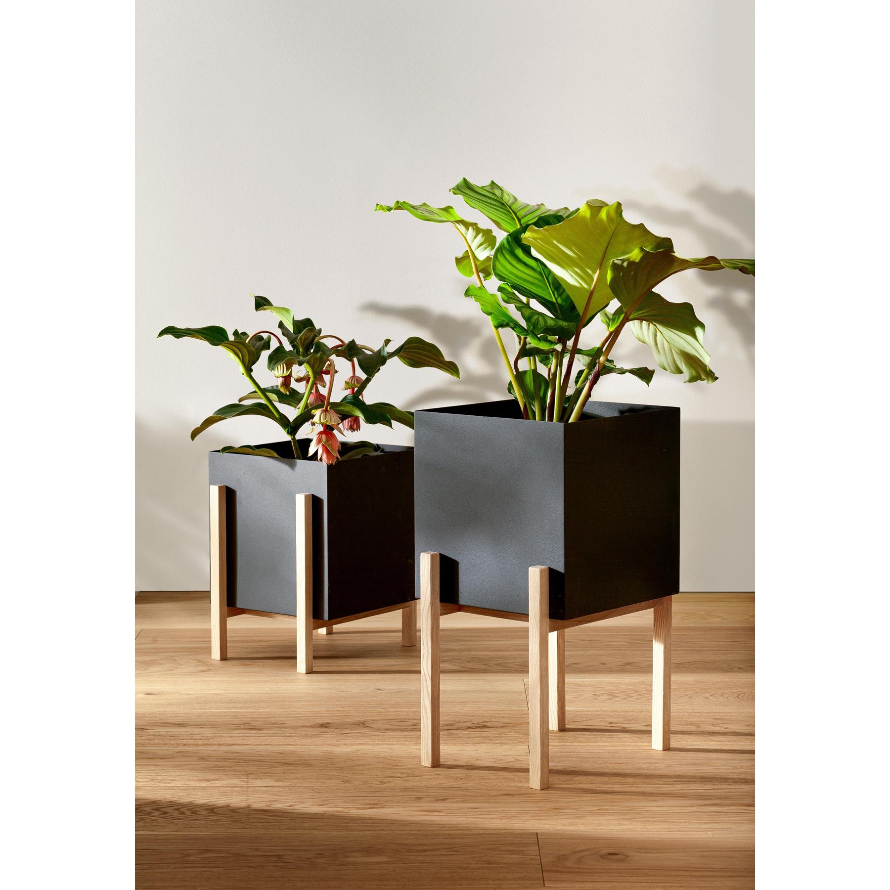 Kennis maken pedaal Filosofisch Design House Stockholm Botanic Stand plantenbak kopen? Shop bij fonQ!