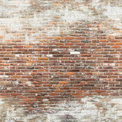 "Art for the Home Brick Fotobehang "