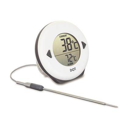 ETI ThermoWorks DOT Thermometer