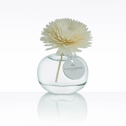 Plantes & Parfums Cotton Flower is wolkjeszacht, het voelt als een comfortabele warme deken van poederige Musk met subtiele witte bloemen-noten en hout accenten.
