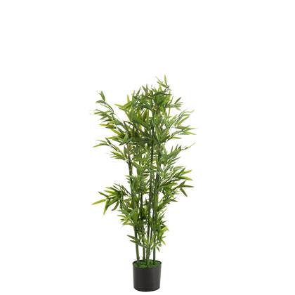J-Line Bamboe Plant in Pot Groen Small