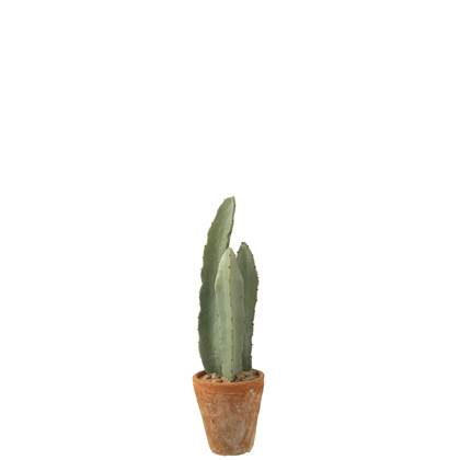 J-Line Cactus 3 Stuks In Pot Plastiek Groen Small