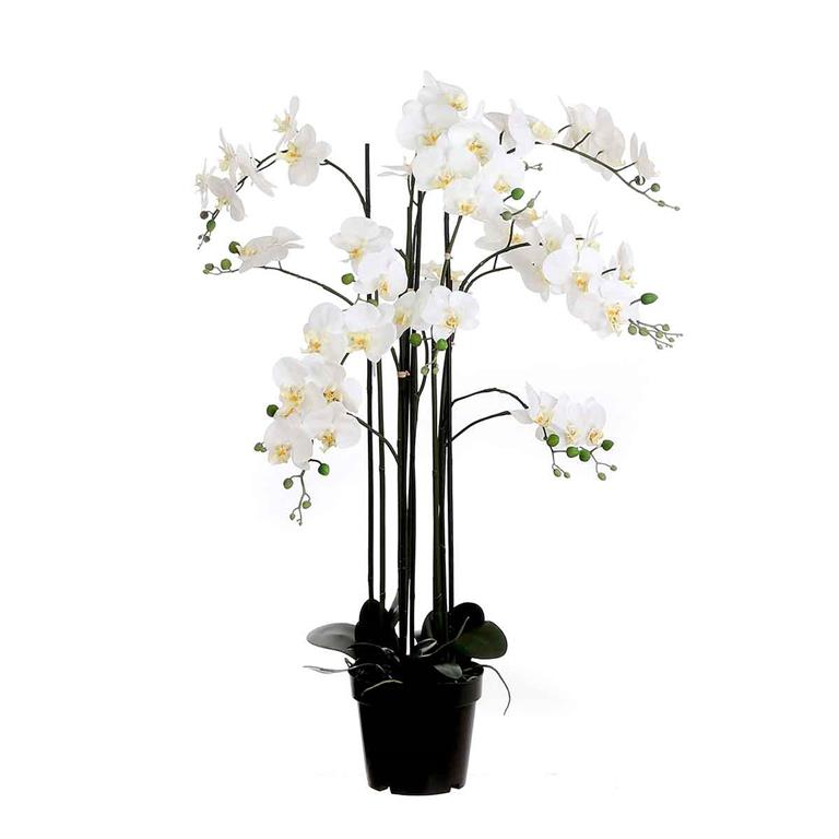 Mica Decorations orchidee in plastic pot creme; 35 x 35 x 117 CREME