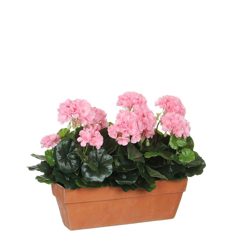 Mica Decorations geranium roze in balkonbak terra maat in cm: 39 x 13 x 40 ROZE