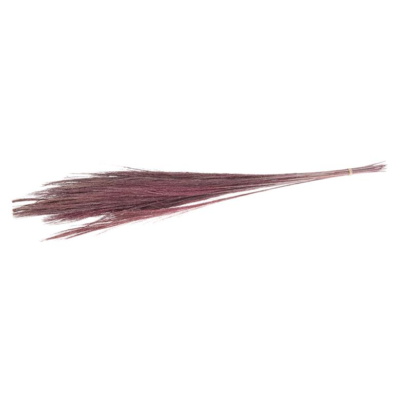 Cozy Ibiza Droogbloem broom grass roze 2 bundels