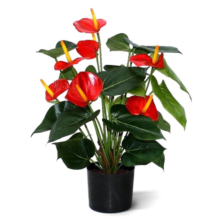 Maxi Fleur kunstplanten Kunst Anthurium deluxe 50 cm rood