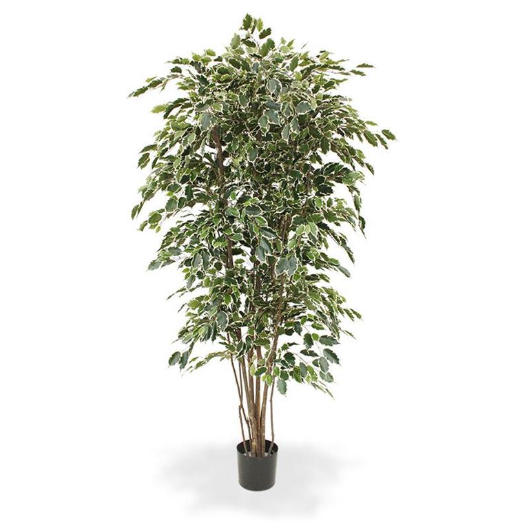 Maxi Fleur kunstplanten Ficus Exotica deluxe kunstboom 210cm bont