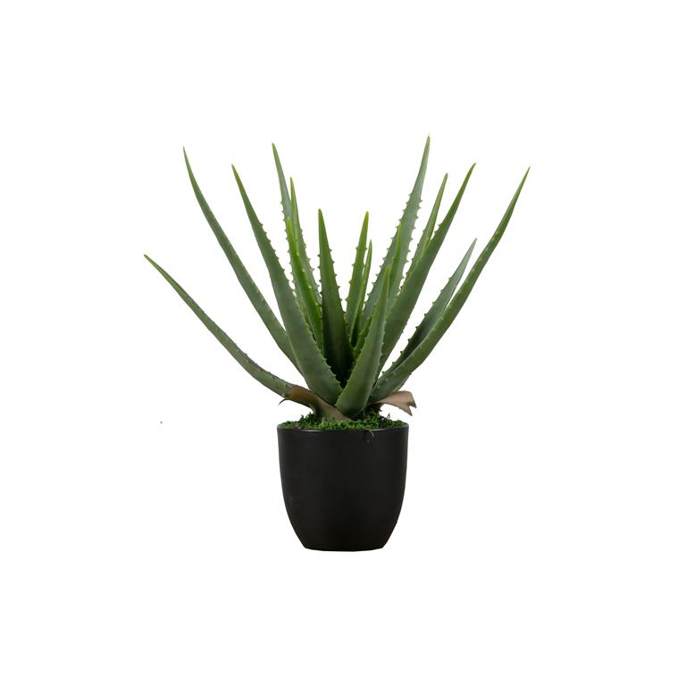 Woood Aloe Vera Kunstplant Groen 46x14x14