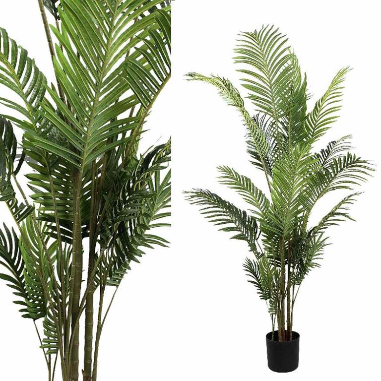 PTMD Tree Green palm tree in black plastic pot L