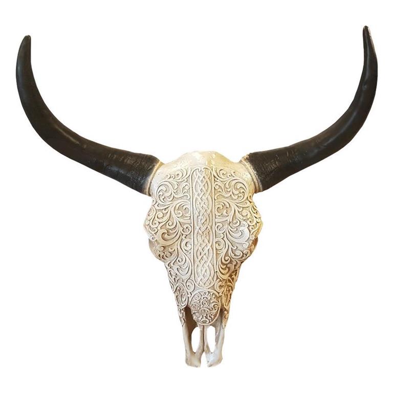 Vtw Living Skull Buffelschedel 40 cm