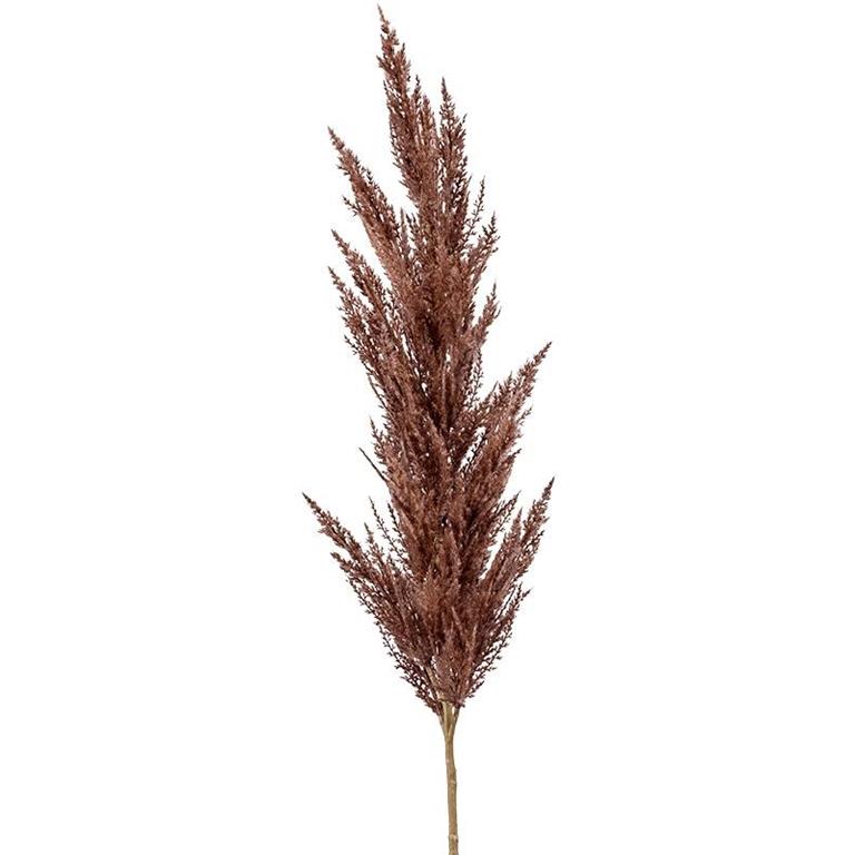 Plantenwinkel.nl Plantenwinkel Grass Pampas Brown L 115 cm kunsttak per 1 stuks