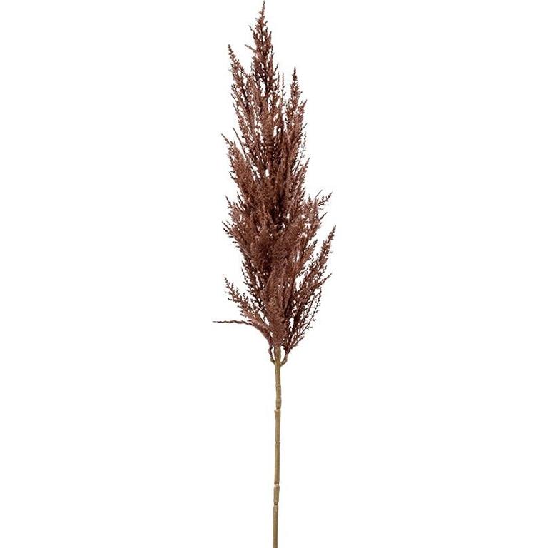 Plantenwinkel.nl Plantenwinkel Grass Pampas Brown M 92 cm kunsttak per 1 stuks