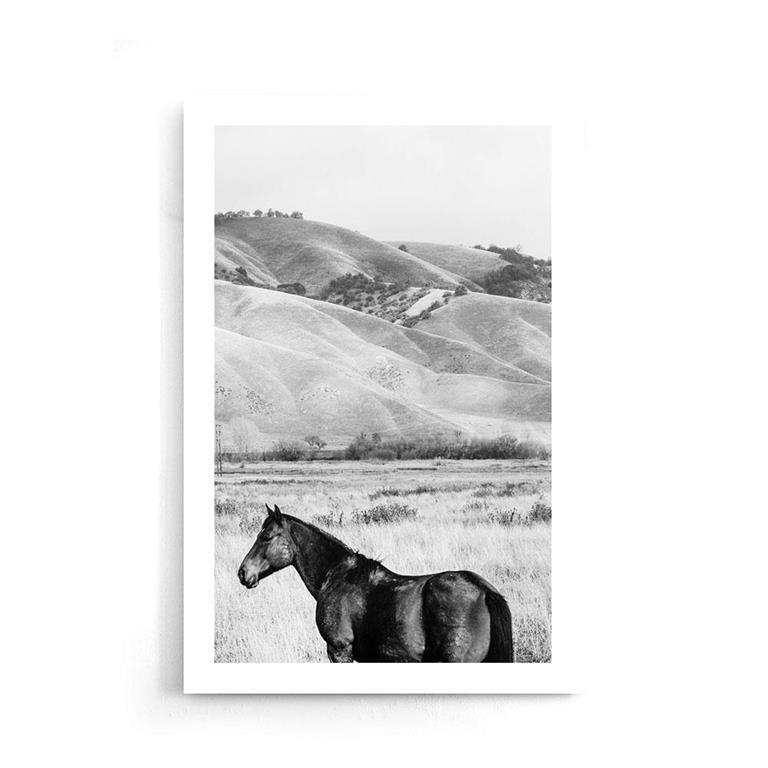 Walljar.com Walljar Poster Horse Next To Mountain