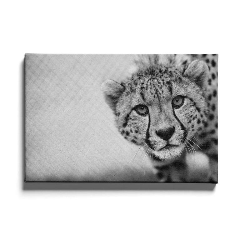 Walljar.com Walljar Schilderij Canvas Cheetah Up Close