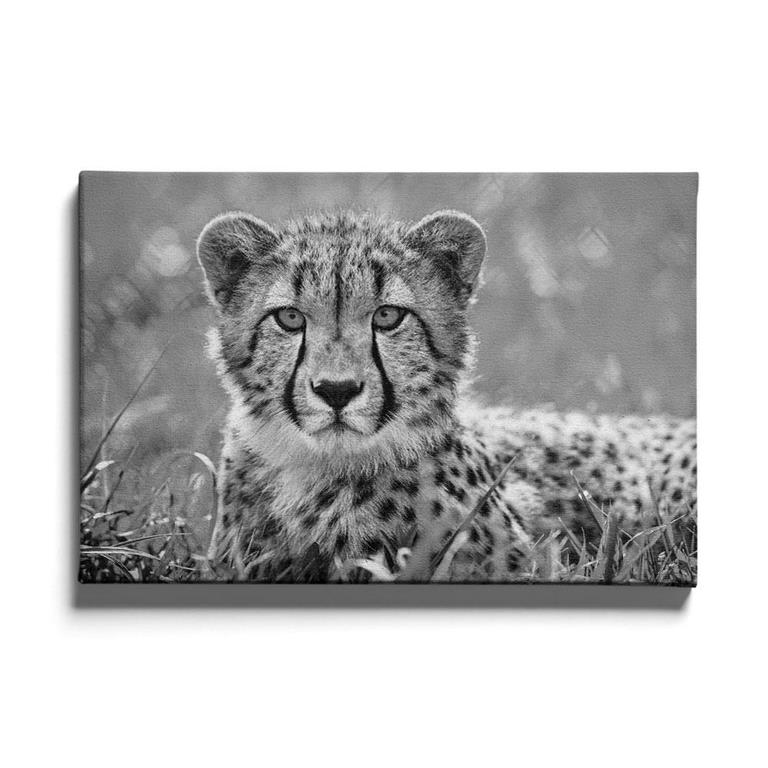 Walljar.com Walljar Schilderij Canvas Cheetah