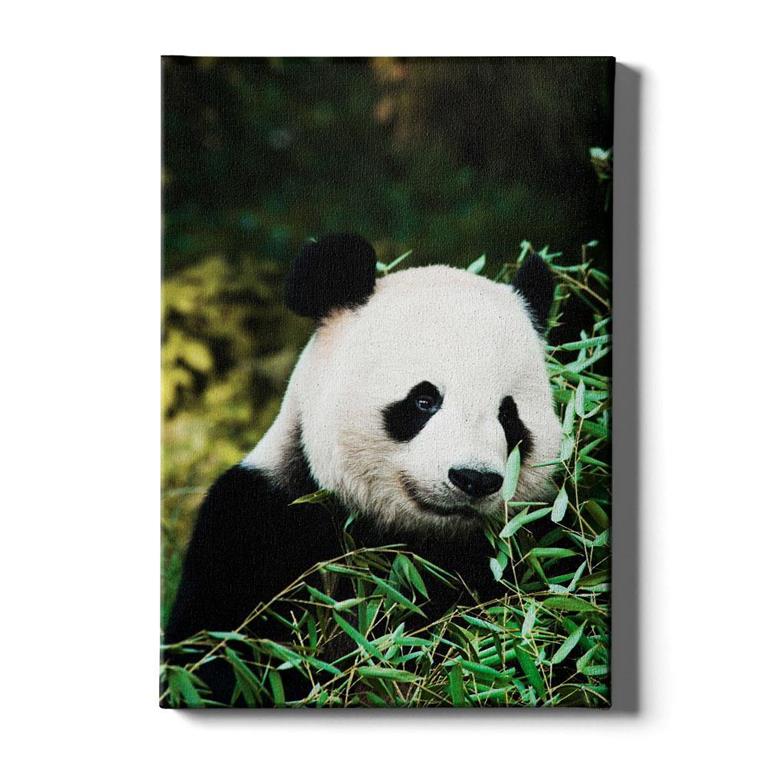 Walljar.com Walljar Schilderij Canvas Cute Panda