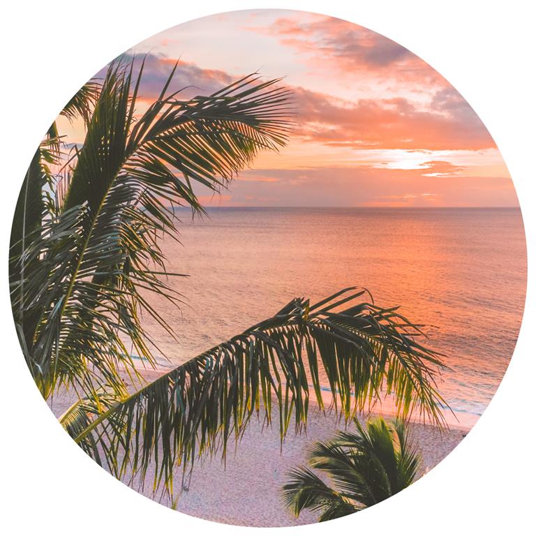 Seemly | Palm Beach Sunset Muurcirkel