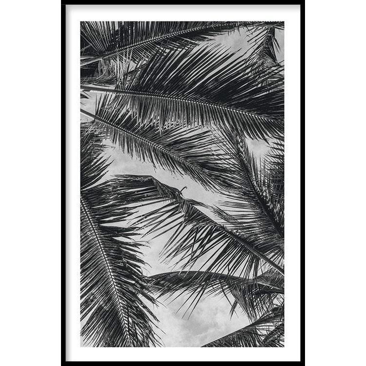 Walljar.com Walljar Poster met lijst Palm Trees Close Up