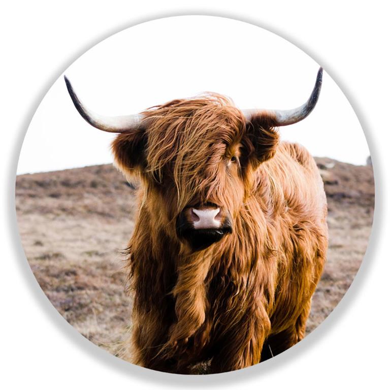 Sweet Living Wandcirkel Highland Cow On Islay Ø40 cm