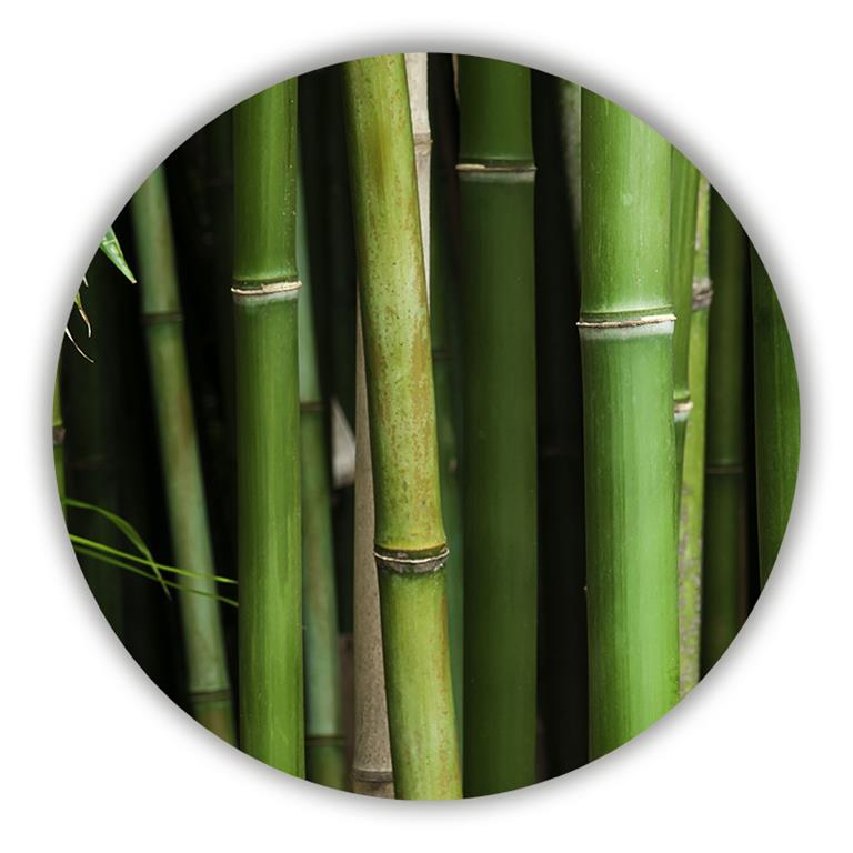 Sweet Living Wandcirkel Bamboe Ø100 cm