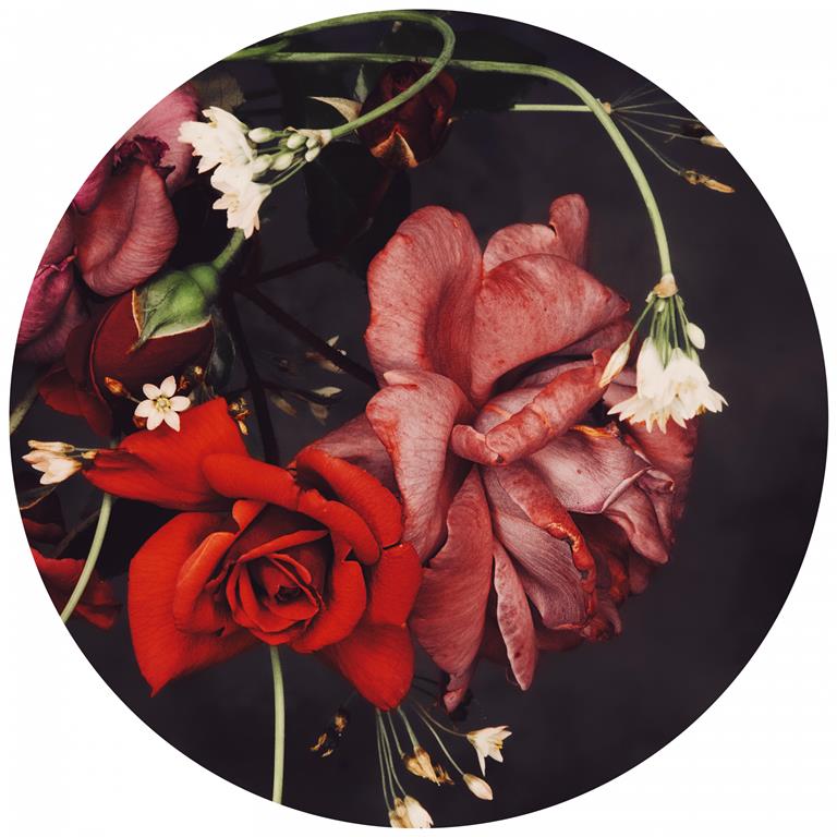 Seemly | Red Rose Muurcirkel