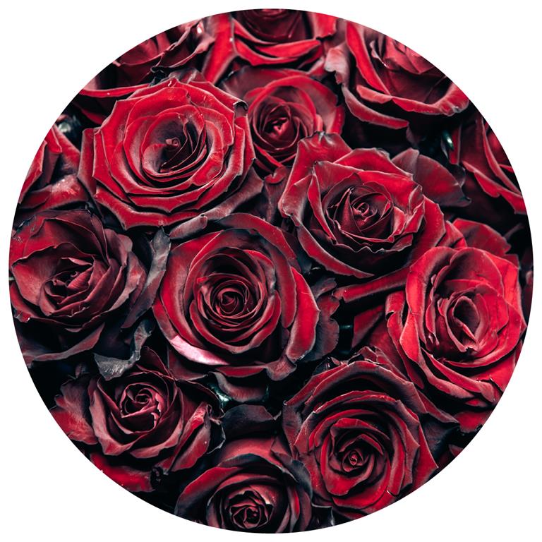 Seemly | 50 Roses Muurcirkel