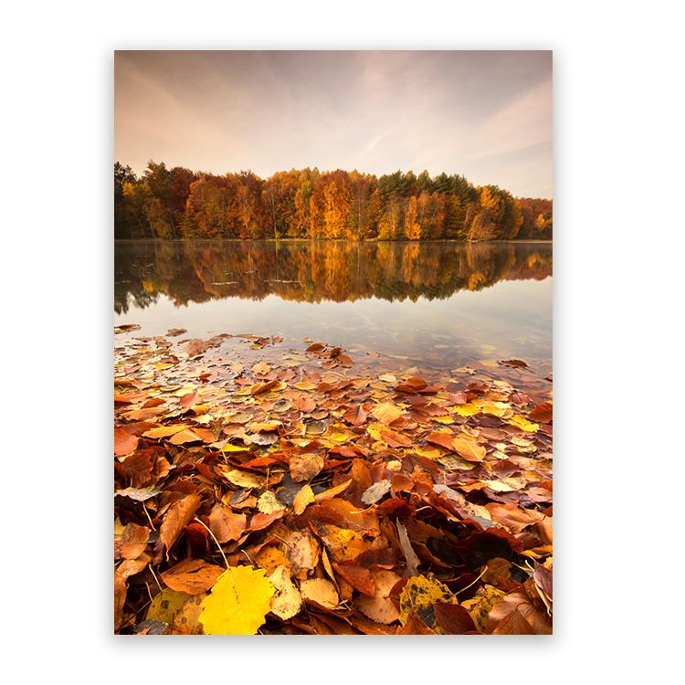 Sweet Living Plexiglas Schilderij Autumn Lake B80 x L120 cm