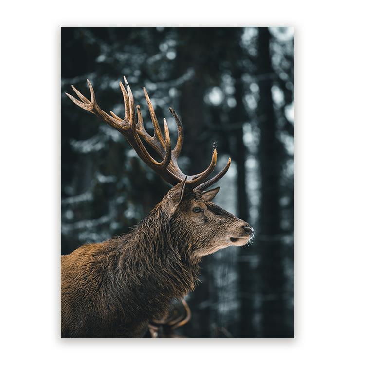 Sweet Living Aluminium Schilderij Wet Deer B80 x L120 cm