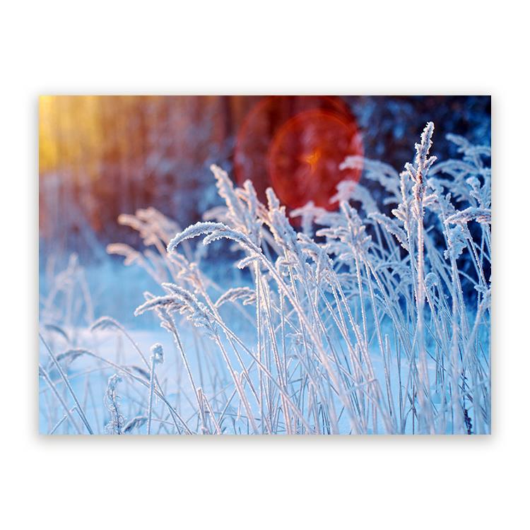 Sweet Living Plexiglas Schilderij Winter Scene B150 x L100 cm