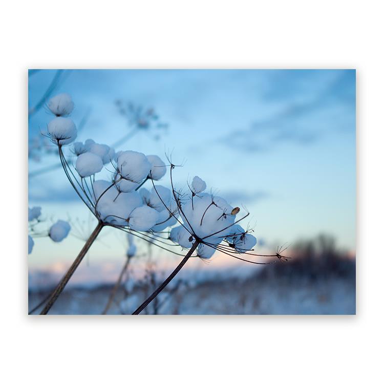 Sweet Living Aluminium Schilderij Winter Landscape B60 x L40 cm