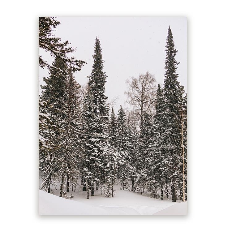 Sweet Living Canvas Schilderij Snowy Trees B60 x L40 cm