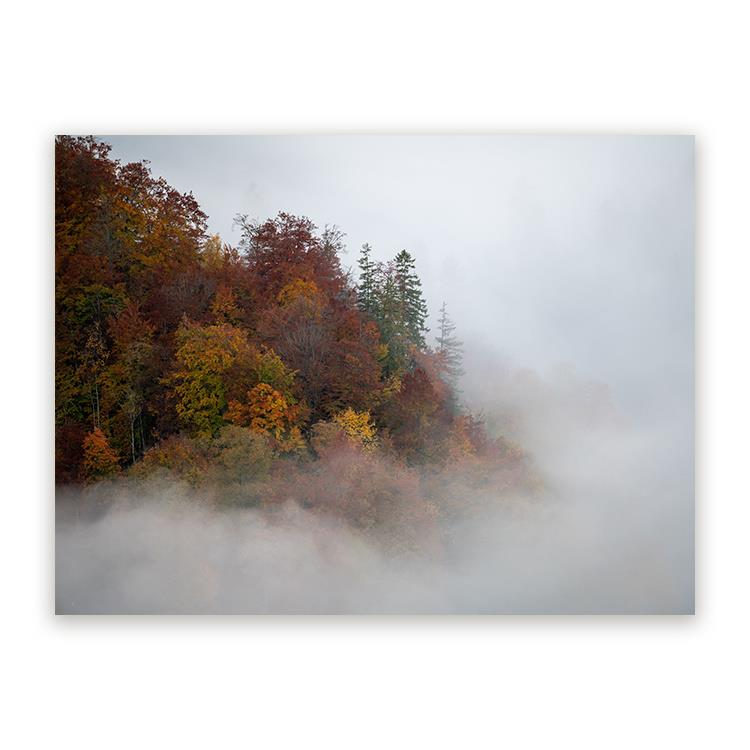 Sweet Living Canvas Schilderij Foggy Trees B150 x L100 cm