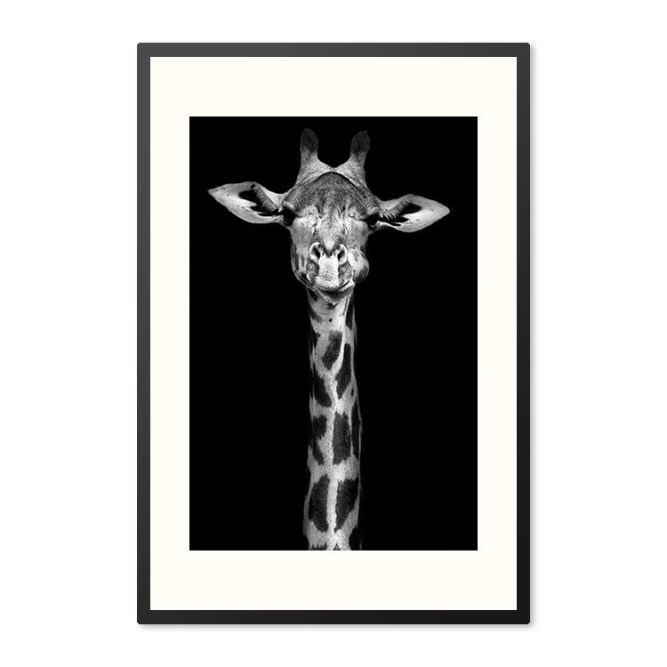 Sweet Living Poster in Lijst Giraffe Zwart Wit