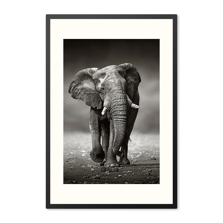 Sweet Living Poster in Lijst Afrikaanse Olifant