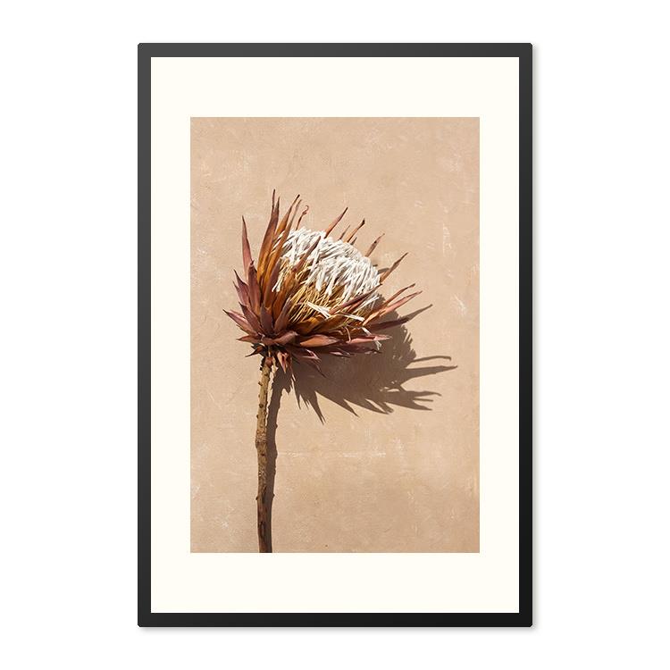 Sweet Living Poster in lijst Dried Exotic Flower