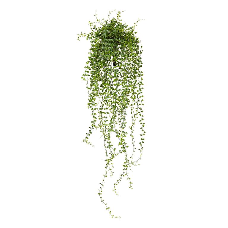 Maxi Fleur kunstplanten Callisia kunst hangplant 70cm UV bestendig