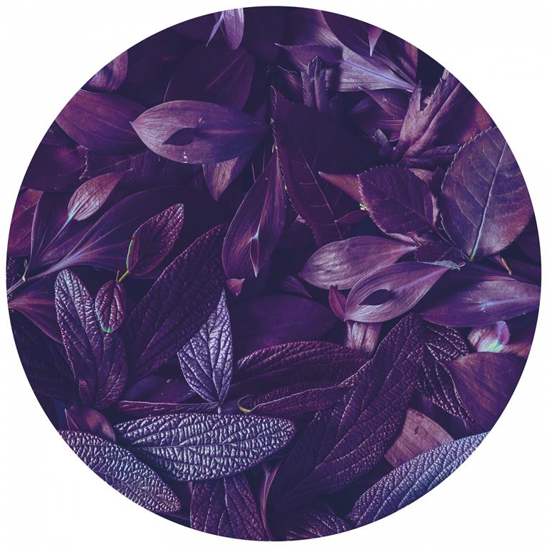 Seemly | Purple Leaves Muurcirkel