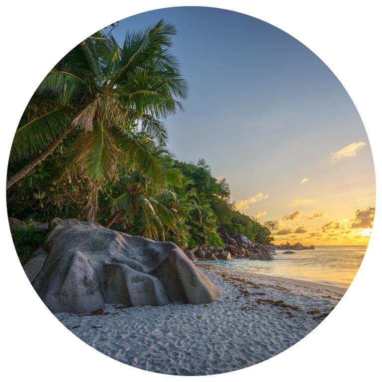 Seemly | Tropical Beach Sunset Muurcirkel