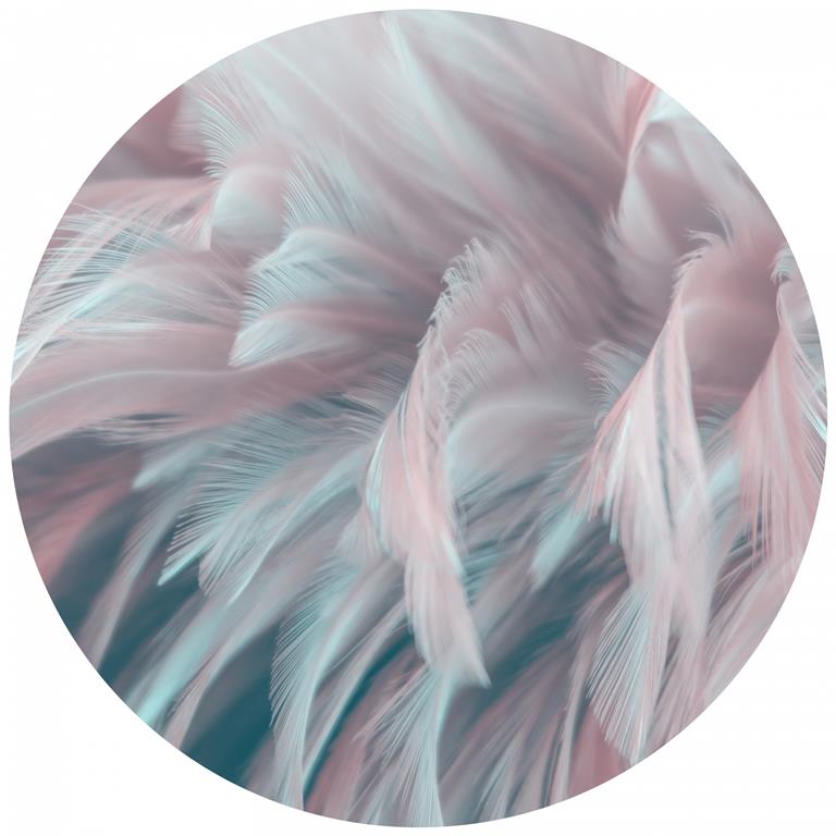 Seemly | Pastel Plume Feathers Muurcirkel