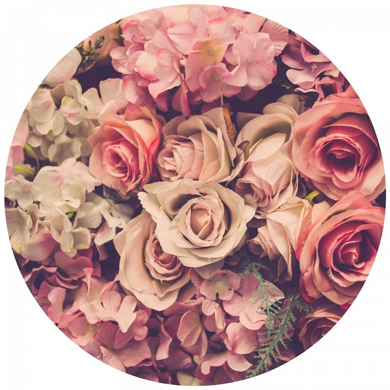 Seemly | Pink Roses Muurcirkel