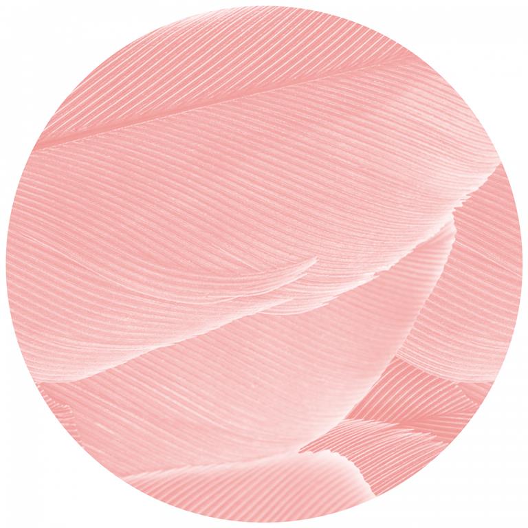 Seemly | Coral Pink Feather Muurcirkel