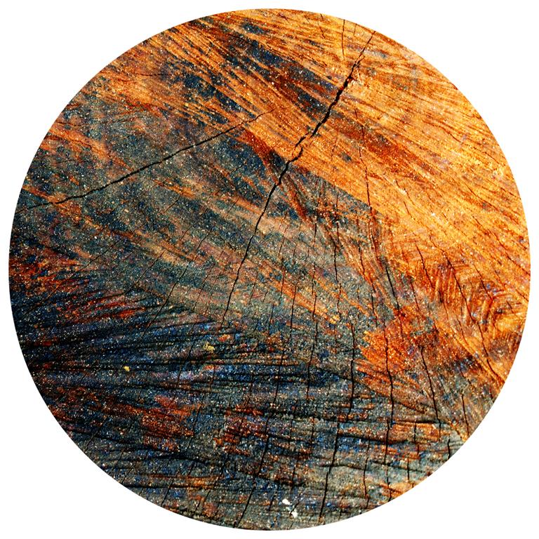 Seemly | Wood Muurcirkel