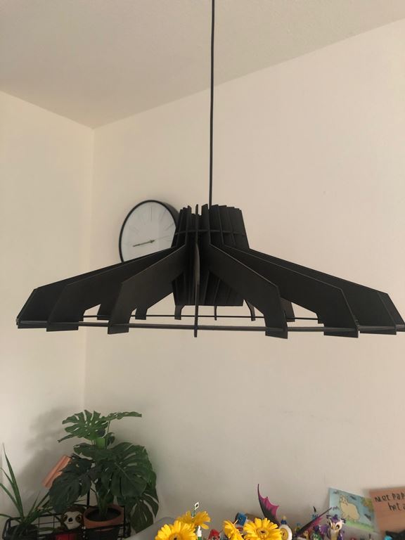 Van Tjalle en Jasper Nikolamp Tesla Hanglamp