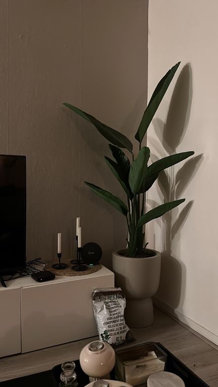 elho Pure Coupe Bloempot Ø 41 cm - Rosy Brown