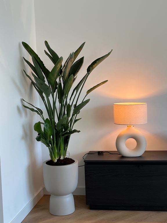 elho Pure Coupe Bloempot Ø 41 cm - Rosy Brown