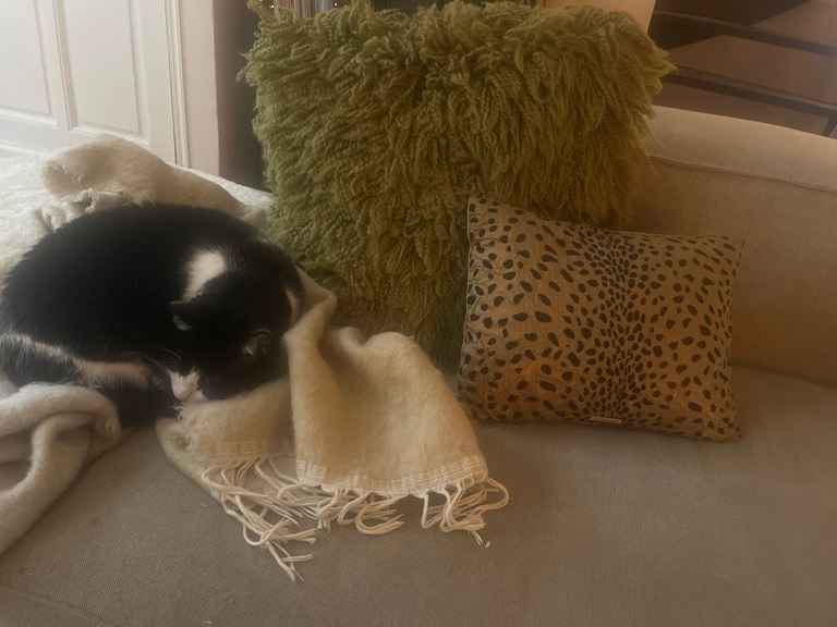 HKliving Fluffy Sierkussen 50 x 50 cm - Olive