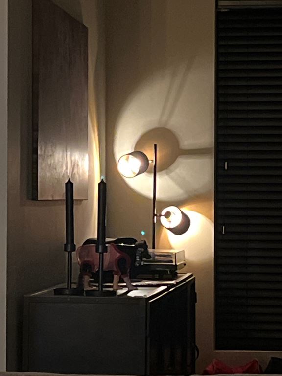 Reality Henry Vloerlamp - 2 spots