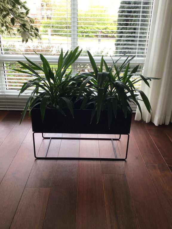 ferm LIVING Plant Box Plantentafel Large Zwart